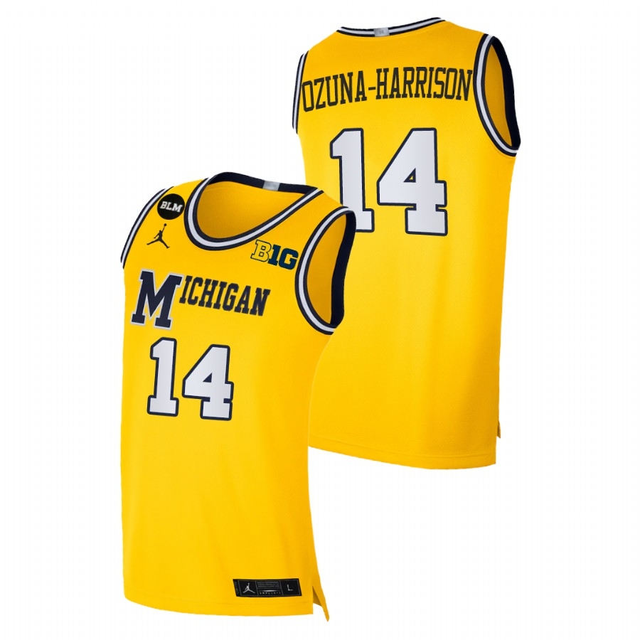 Michigan Wolverines Men's NCAA Rico Ozuna-Harrison #14 Yellow Equality 2021 Limited BLM Social Justice College Basketball Jersey DTP5049NP